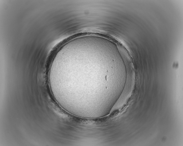 X0000091480971200709061835