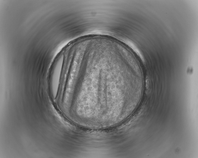 X0000091480972200709061835