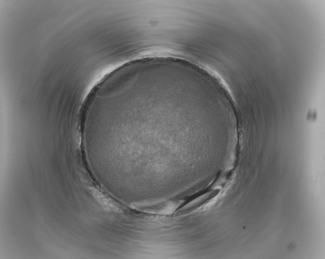 X0000091480973200709061835