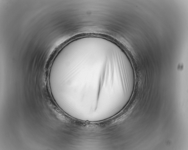 X0000091480974200709061835