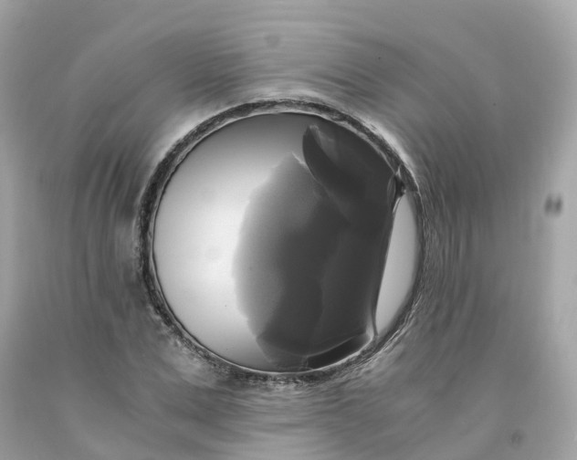 X0000091480975200709061835