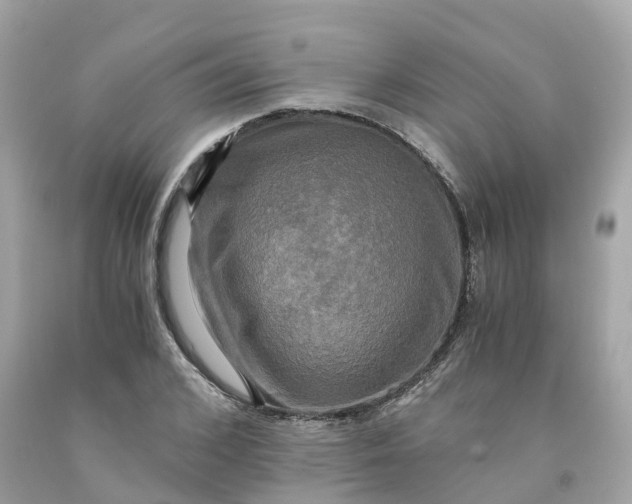 X0000091480976200709061835