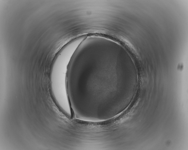 X0000091480977200709061835