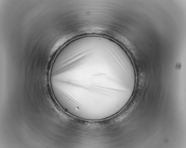 X0000091480978200709061835