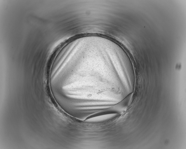 X0000091480979200709061835