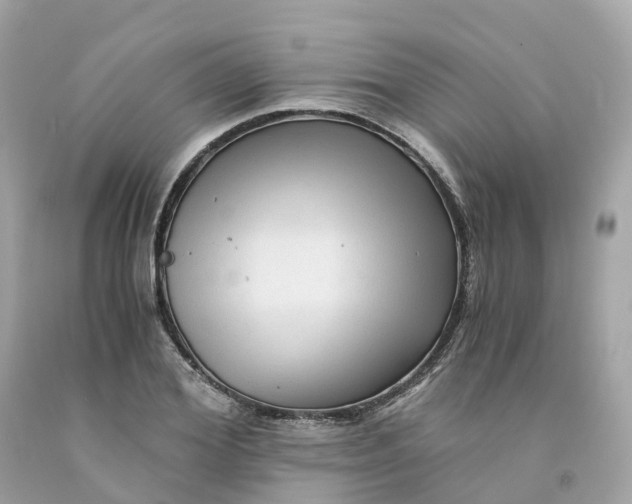 X0000091480980200709061835