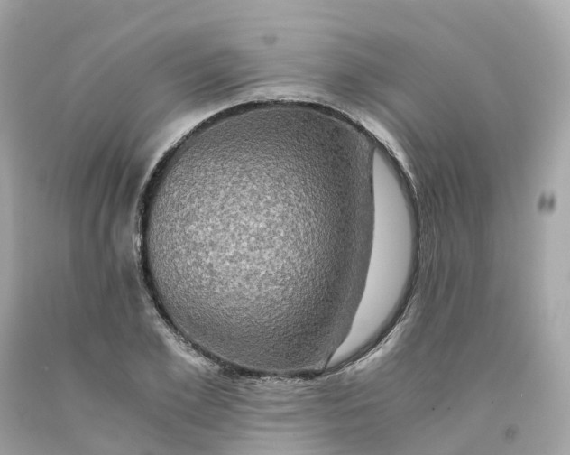 X0000091480981200709061835