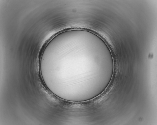 X0000091480982200709061835