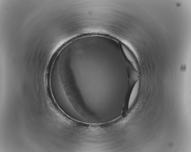 X0000091480983200709061835