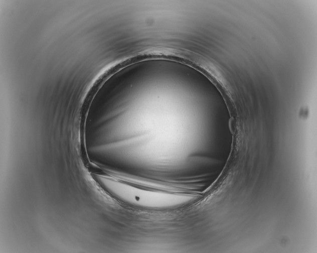 X0000091480984200709061835