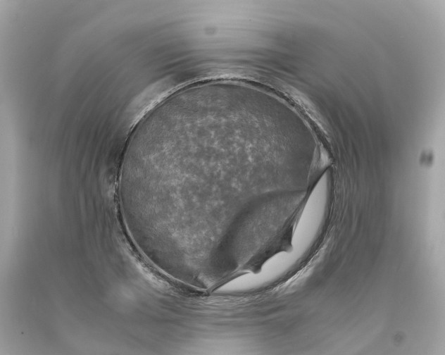 X0000091480985200709061835