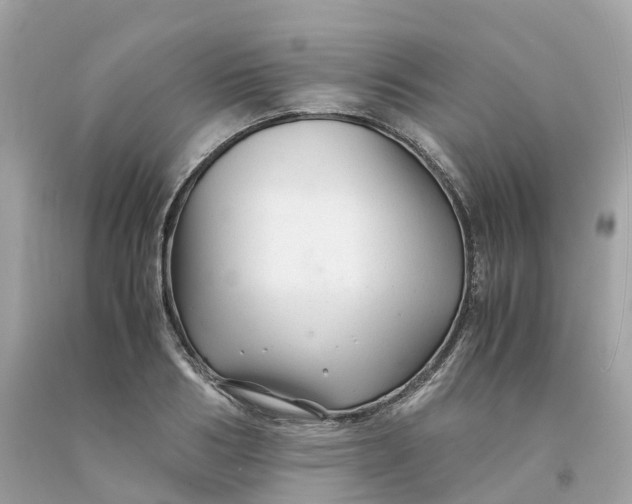 X0000091480986200709061835