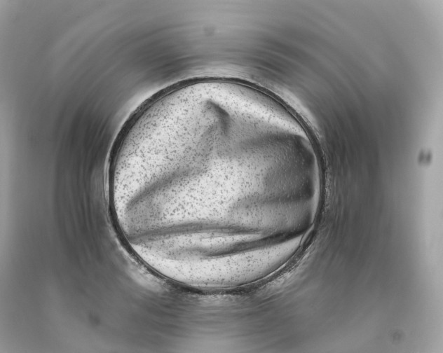 X0000091480988200709061835