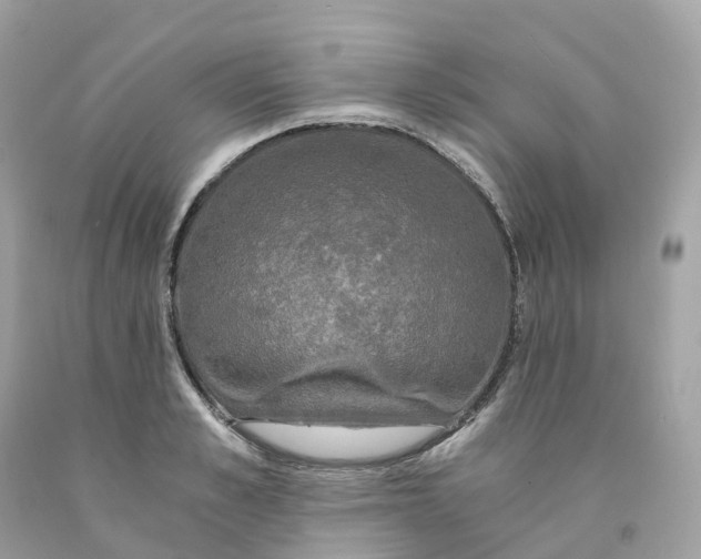 X0000091480989200709061835