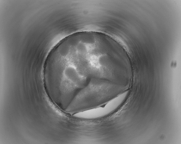 X0000091480990200709061835