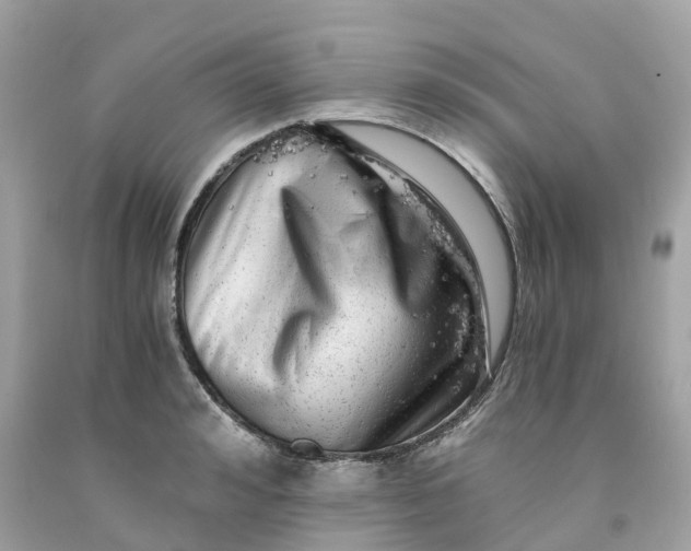 X0000091480992200709061835