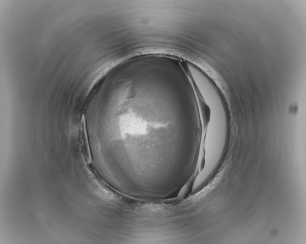 X0000091480993200709061835