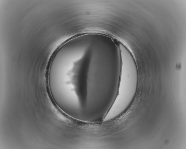 X0000091480995200709061835