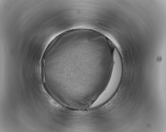 X0000091480996200709061835