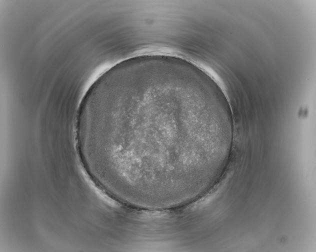 X0000091480997200709061835