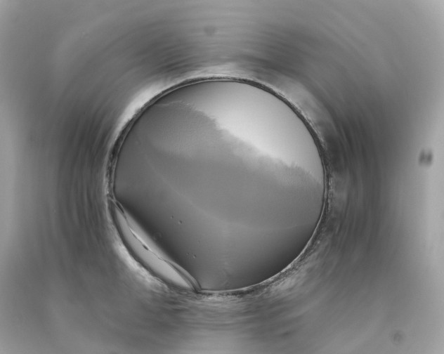 X0000091480998200709061835