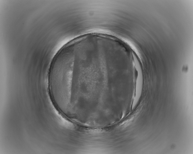 X0000091480999200709061835