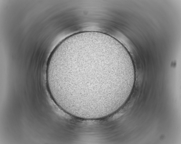 X0000091481000200709061835