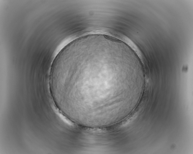 X0000091481002200709061835