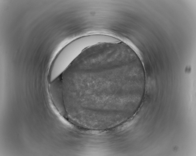 X0000091481005200709061835