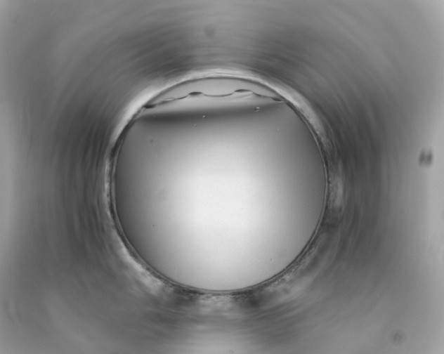 X0000091481006200709061835