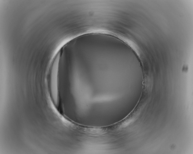 X0000091481007200709061835