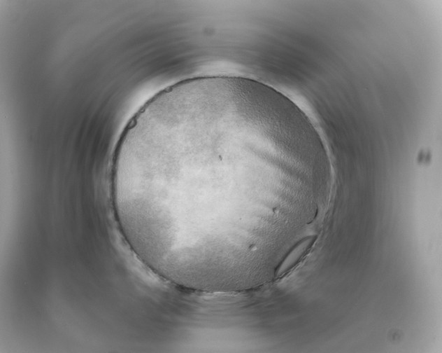 X0000091481008200709061835