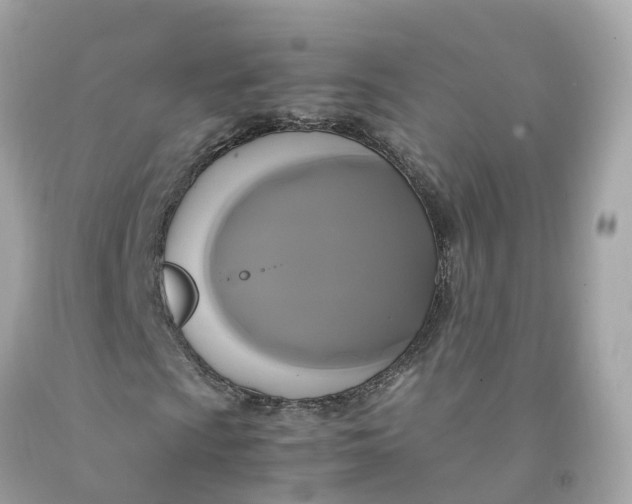 X0000091481009200709061834