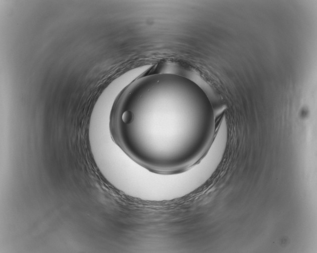 X0000091481010200709061834