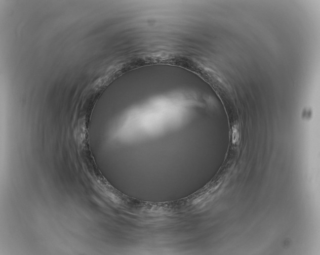 X0000091481011200709061834