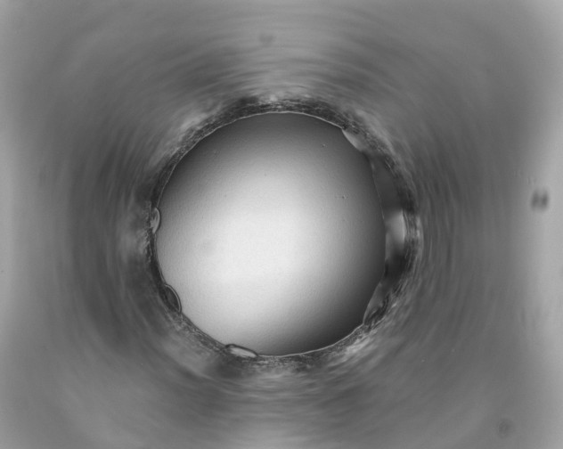 X0000091481012200709061834