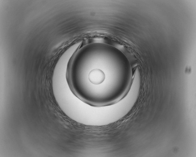 X0000091481014200709061834