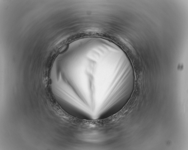 X0000091481015200709061834