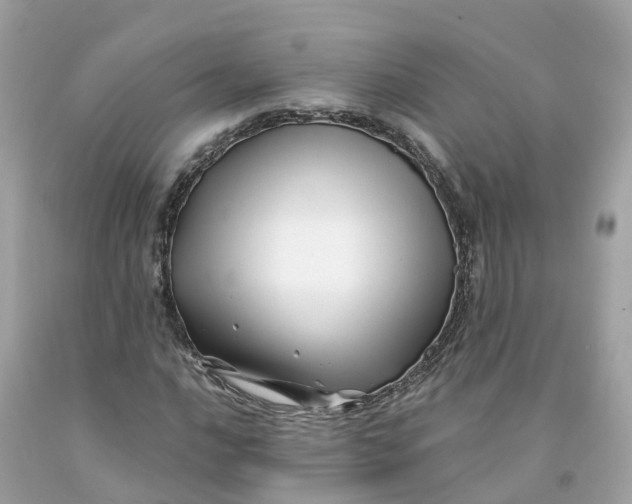 X0000091481016200709061834