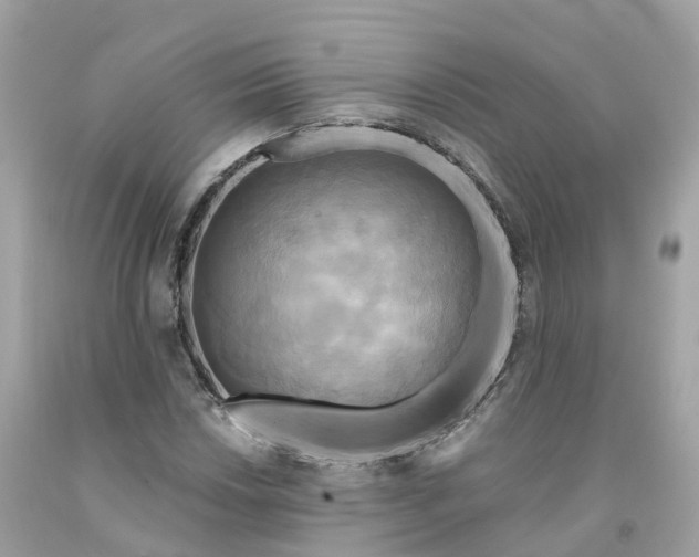 X0000091481018200709061834