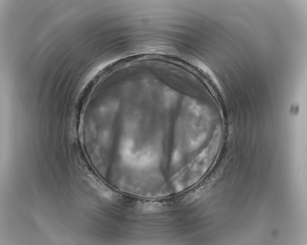 X0000091481019200709061834