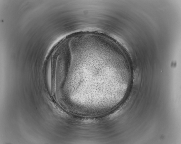 X0000091481021200709061834