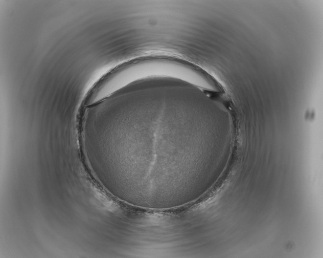 X0000091481022200709061834