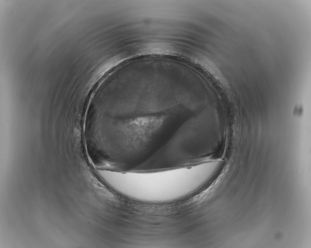 X0000091481025200709061834