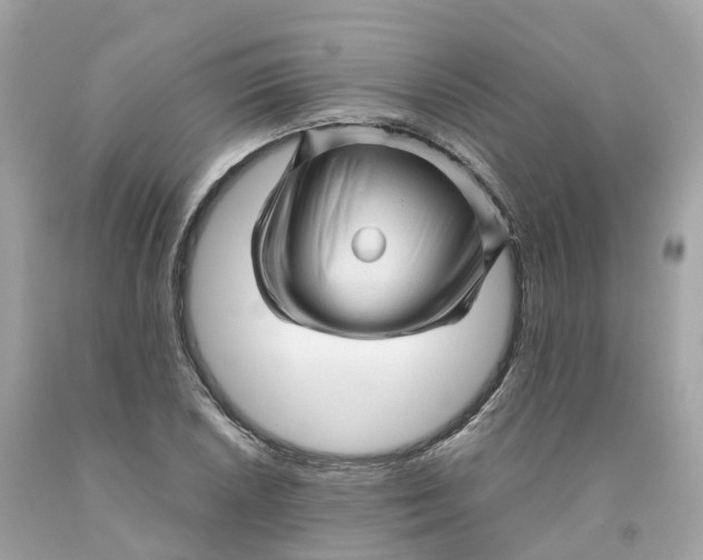 X0000091481026200709061834