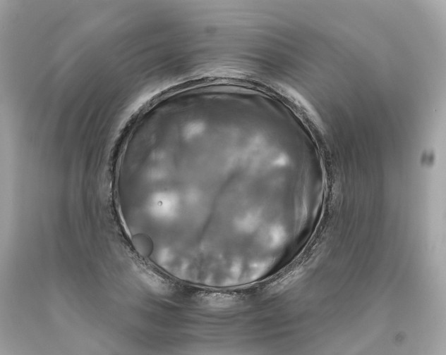 X0000091481027200709061834