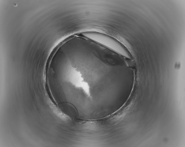 X0000091481028200709061834