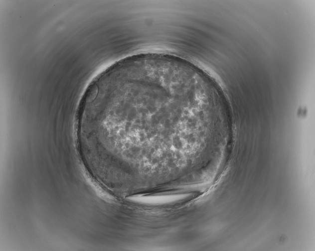 X0000091481029200709061834