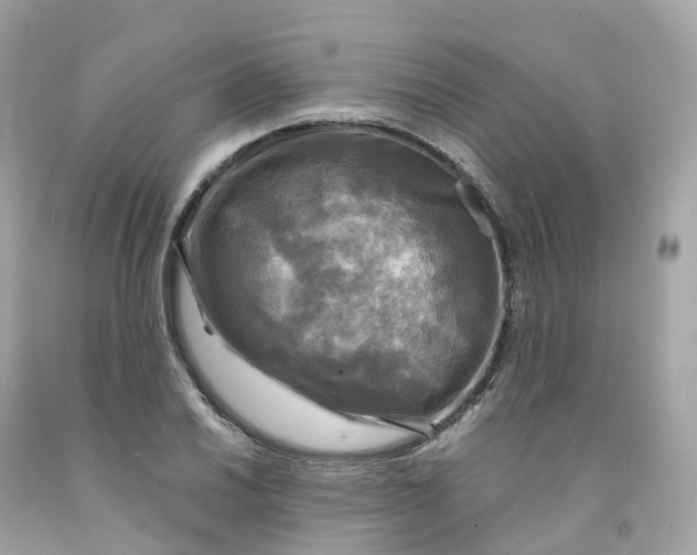 X0000091481030200709061834