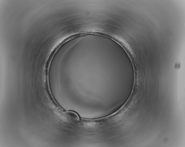 X0000091481031200709061834